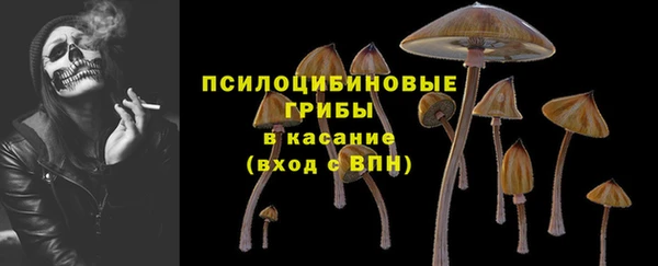 мдпв Бежецк
